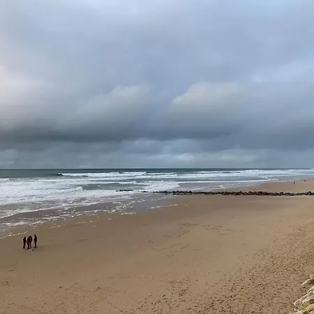 Agreable T2 Ocean Bord De Mer. Expo Sud. *