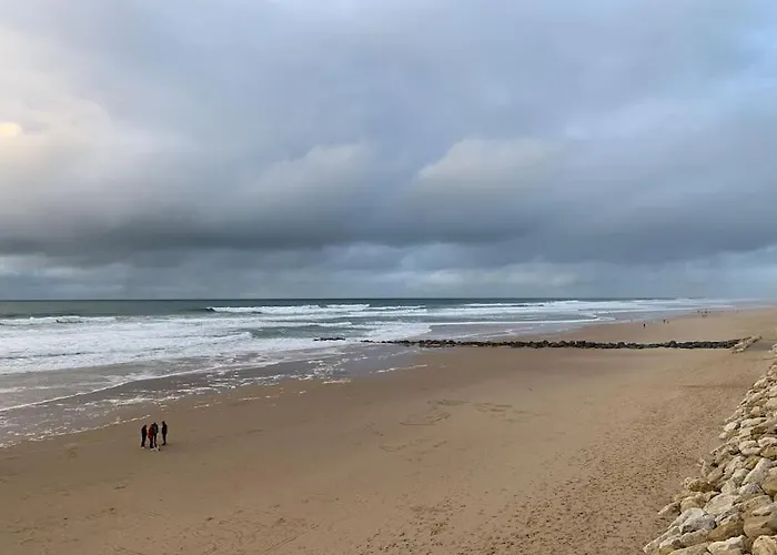 T2 Ocean Bord De Mer. Expo Sud. *